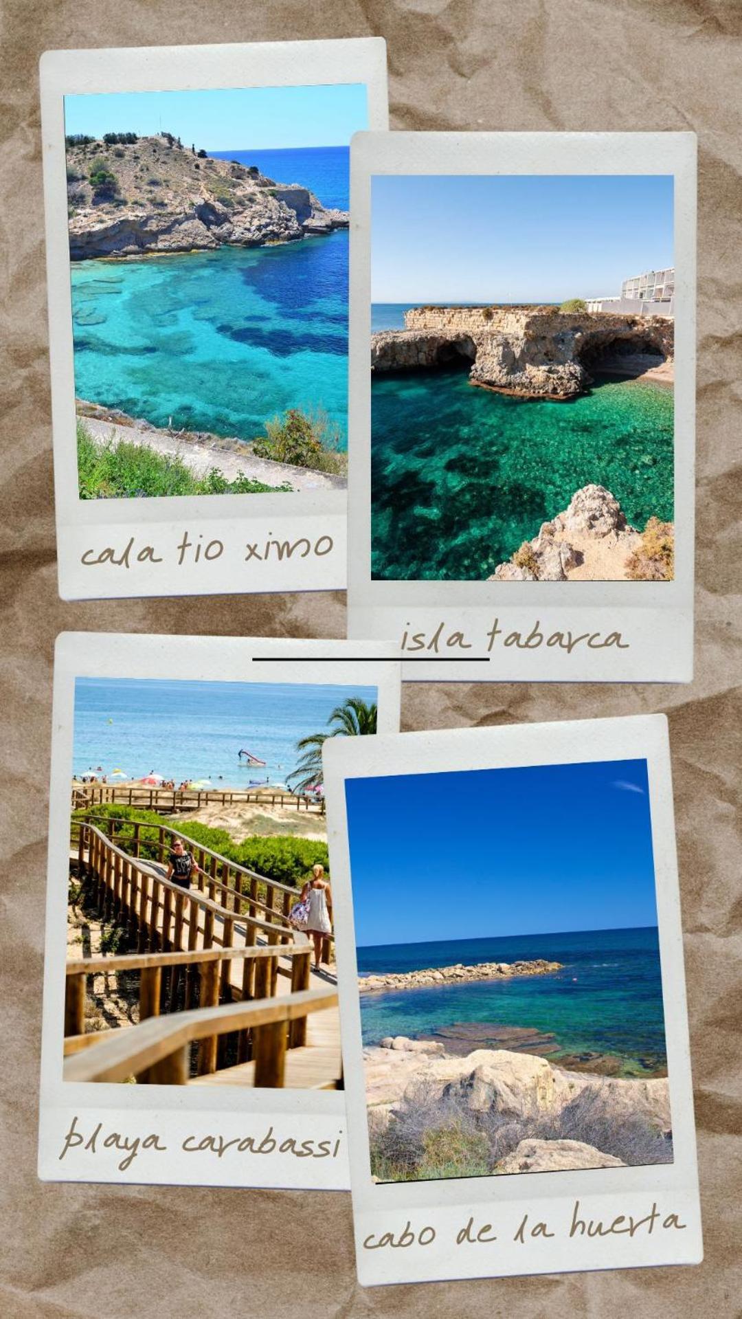 Guesthouse Shared With Host Alicante Exteriör bild